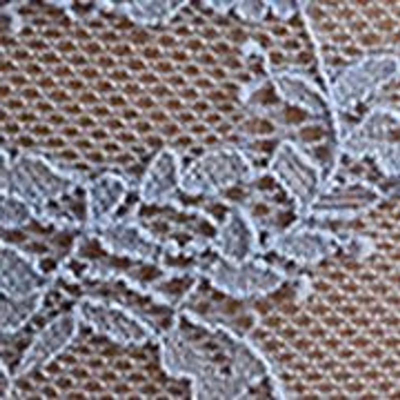Everyday Lace Briefs