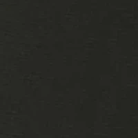 Body Con High Waist Sculpting Brief