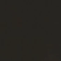 Annalisa Modal and Lace Cami w Shorts Set