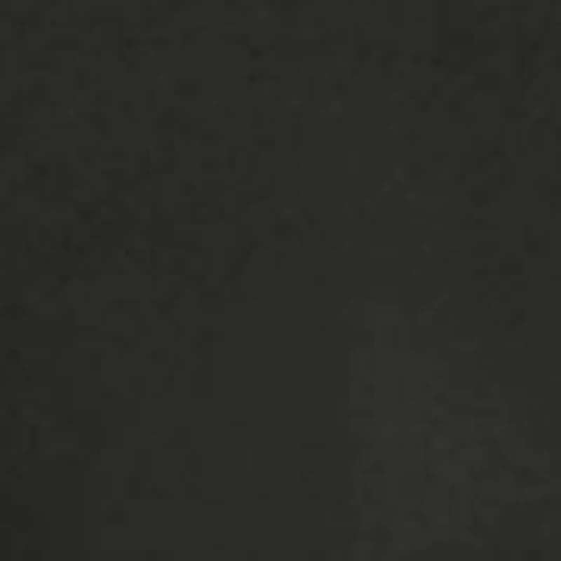 Starlette Plunge Bra