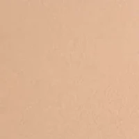 Starlette Plunge Bra