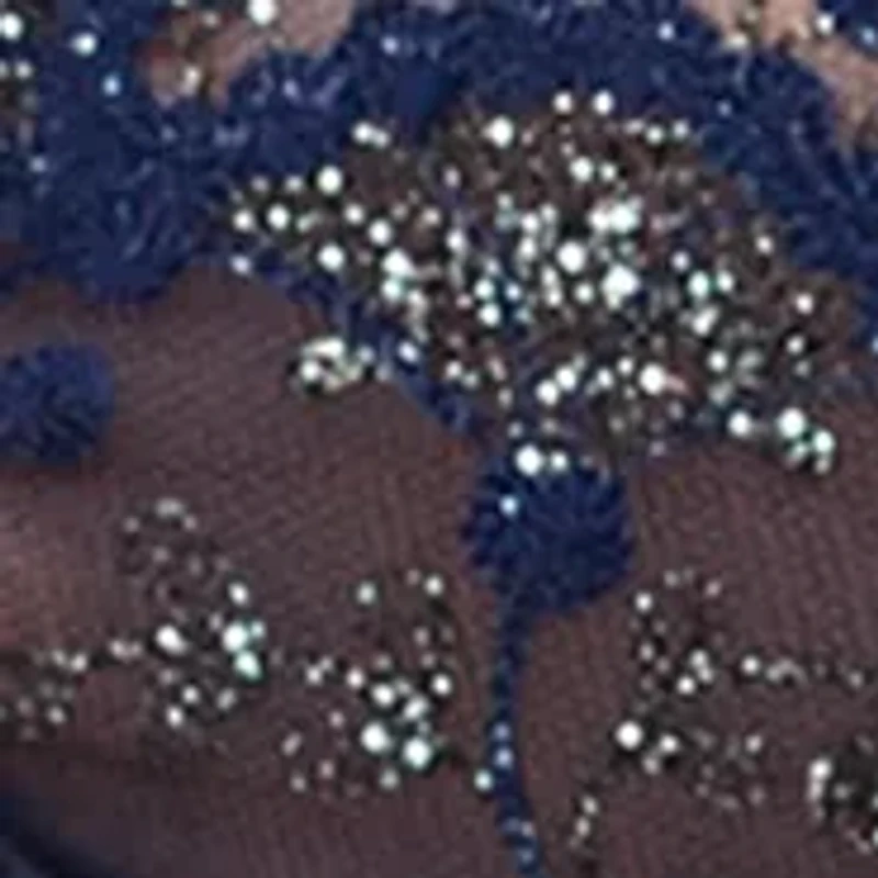 Wish Sheer Plunge Bra