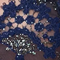 Wish Sheer Plunge Bra