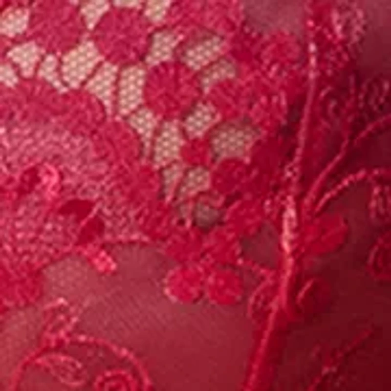 Wish Sheer Plunge Bra