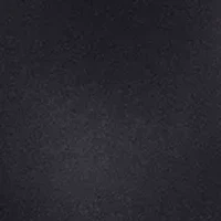 Karma Strapless Plunge Bra