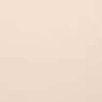 Strapless Underwire Bra