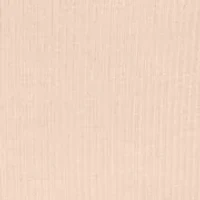 Women's No Pinching, Problem Dig-Free High Waist Ribbed Hi-Cut Panty