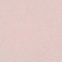 Plus Sheer Mesh High Cut Brief Panty