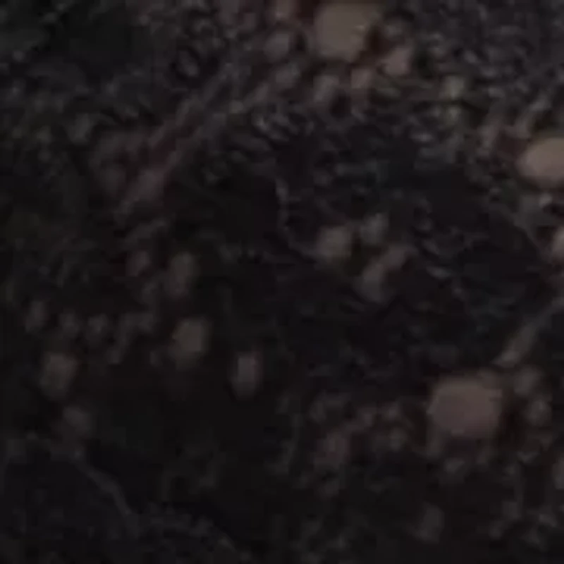 Luxe Lace Wireless Bralette