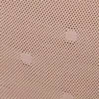 Sheer Whisper High Cut Brief Panty