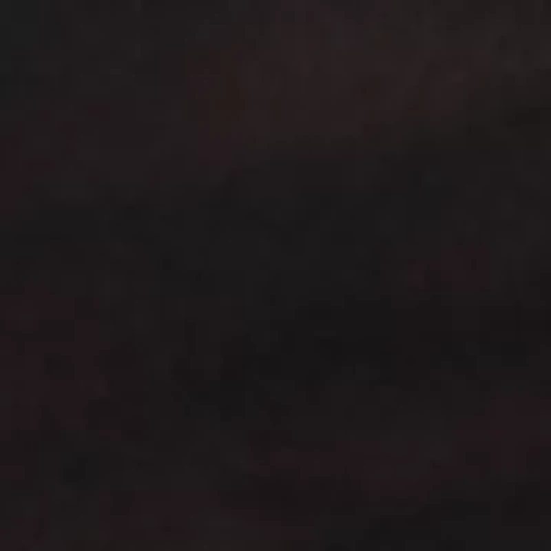 Lush Embroidery Strappy Back Brief