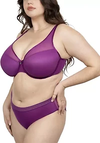 Sheer Mesh High Cut Brief Panty