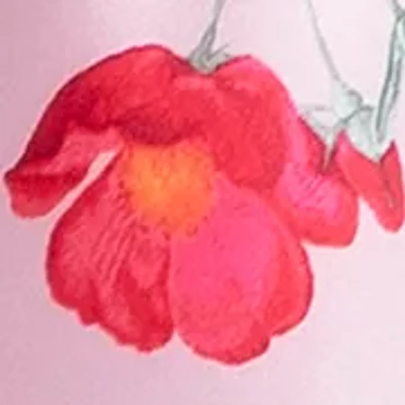 Women's Alyssa Chemise Nightgown