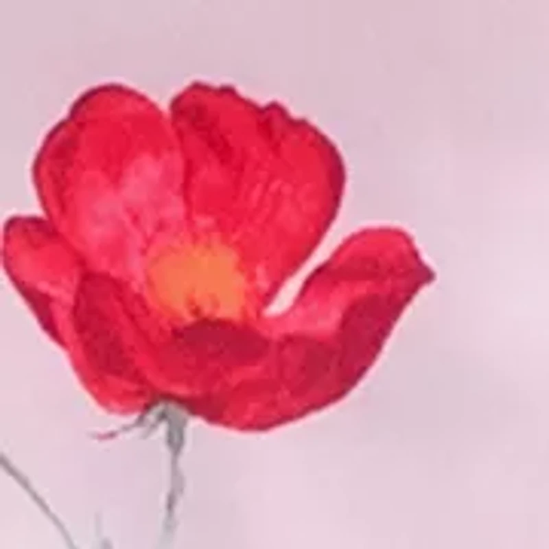 Alyssa 2-Piece Pajama Set