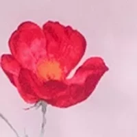 Alyssa 2-Piece Pajama Set