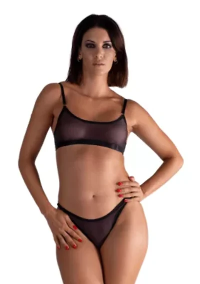 Lustrous Sheer V-cut Thong