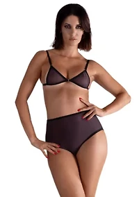 Lustrous Sheer High-waisted Brief