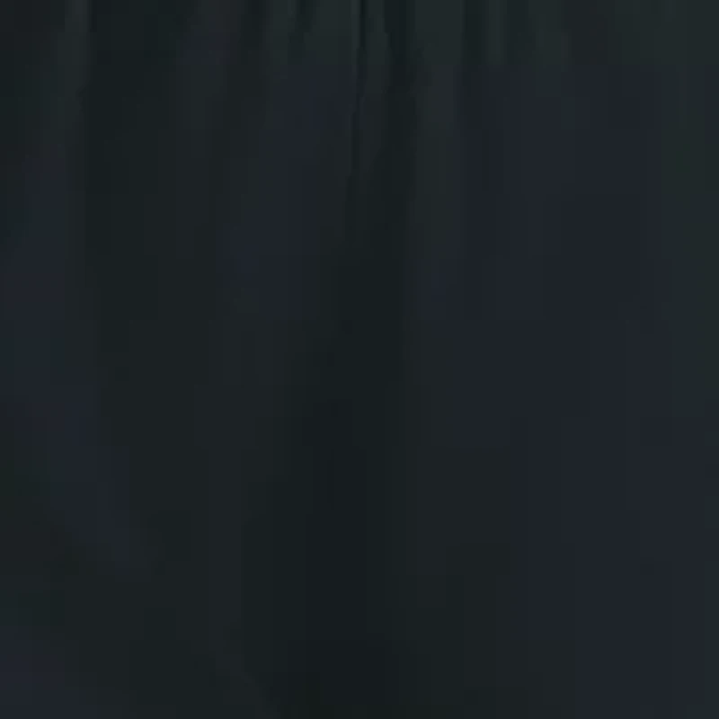 Essentials Cotton Three-Stripe Scoop Bralette with Removable Cookies