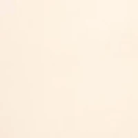 Passion For Comfort Minimizer Bra