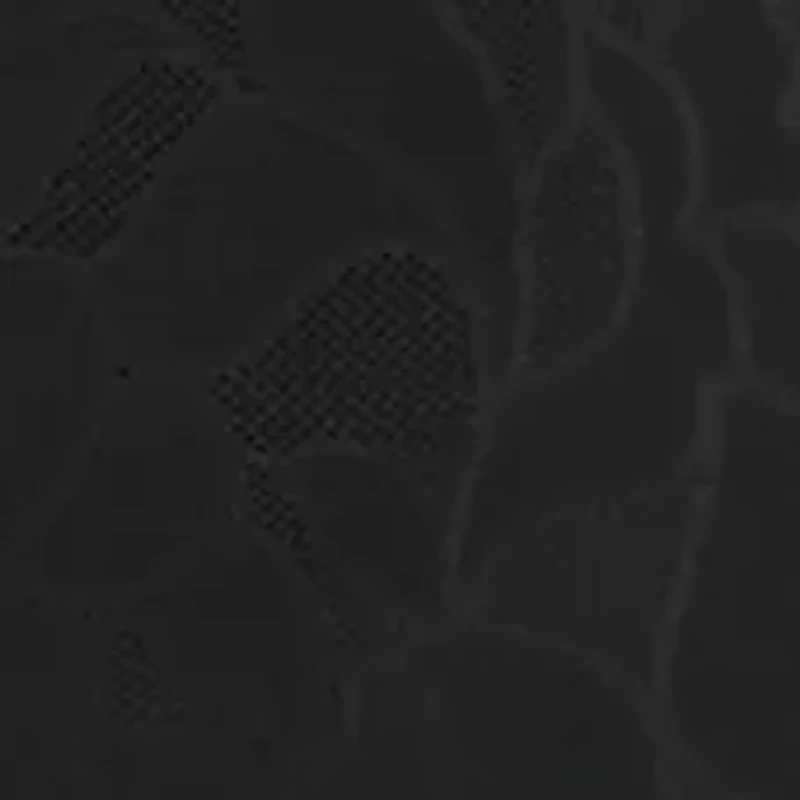 Ultra Light All O Shapewear