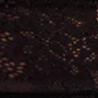 Lace Desire Convertible Bra