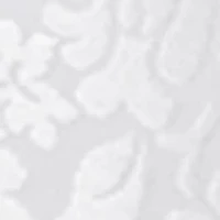 2-Pack Light Control Brief With Lace Tummy X372