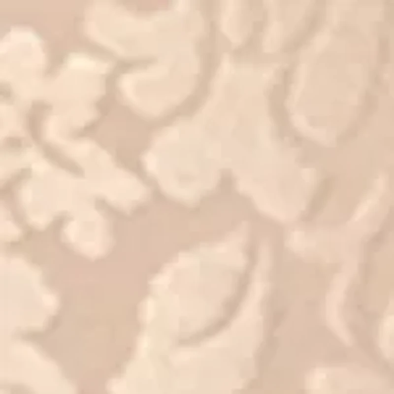 2-Pack Light Control Brief With Lace Tummy X372