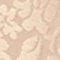 2-Pack Light Control Brief With Lace Tummy X372