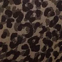 No Pinching, Problems® Dig-Free Comfort Waist with Lace Microfiber Hipster Briefs - 5609J