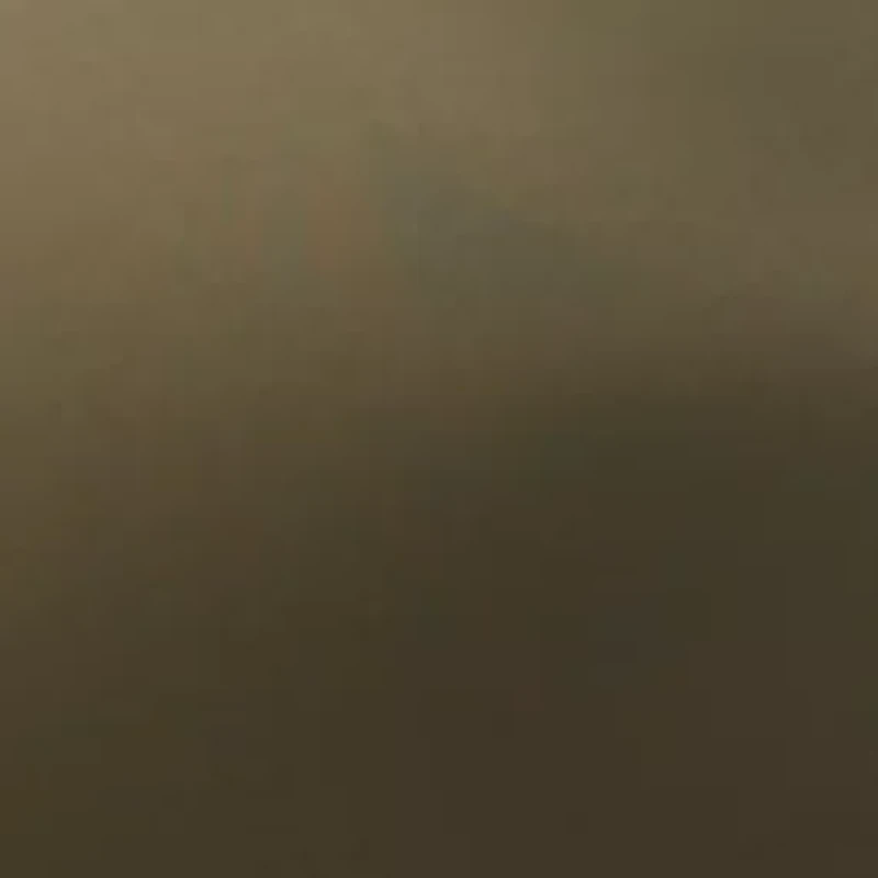 Bliss Wire Free Contour Bra