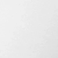 No Pinching, Problems® Dig-Free Comfort Waist with Lace Smooth and Seamless Briefs - RS1501P