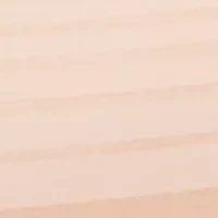 No Pinching, Problems® Dig-Free Comfort Waist Smooth and Seamless Hi-Cut - RT5501P