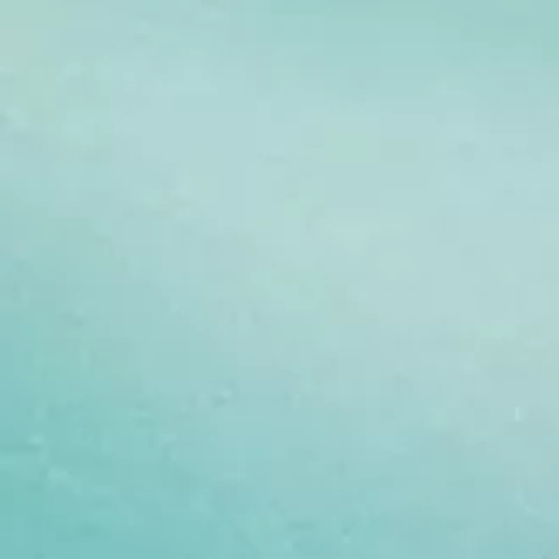 Comfort Devotion Demi Bra