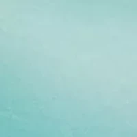 Comfort Devotion Demi Bra