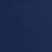 Barely There® Invisible Look Microfiber Bikini Panties