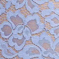 Lace Cheeky Boyshorts