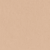 Barely There Boyshorts