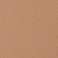 Thong Mid-Rise Panties