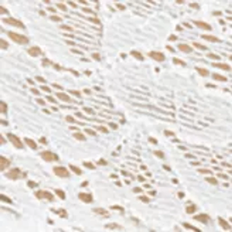 Sexy Must Have Lace Thong