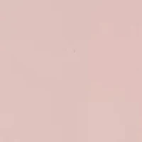 Lace Cheeky Bikini Panty