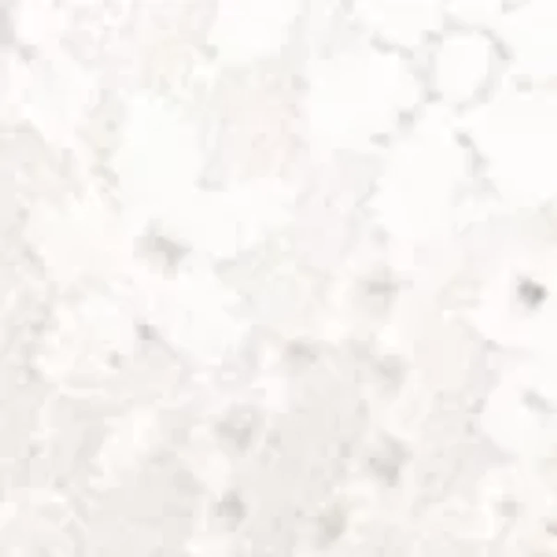 Halo Lace Wire Free Bra - 811205