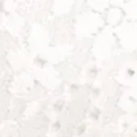 Halo Lace Wire Free Bra - 811205