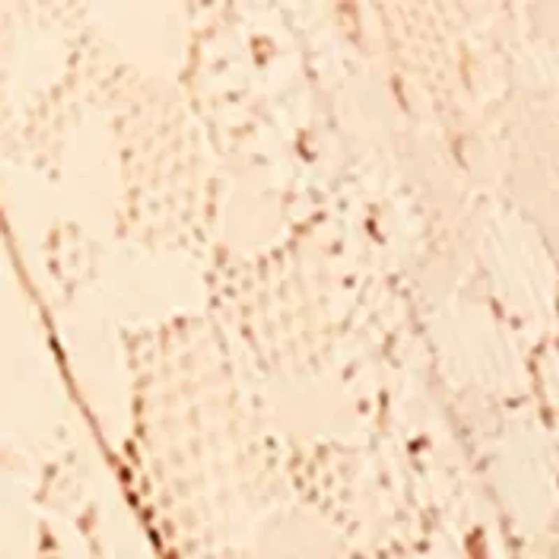 Halo Lace Wire Free Bra - 811205