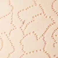 Inside Job Underwire Bra