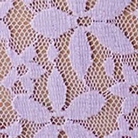 Halo Lace Brief - 870405