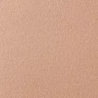 Inner Sheen High Cut Panties