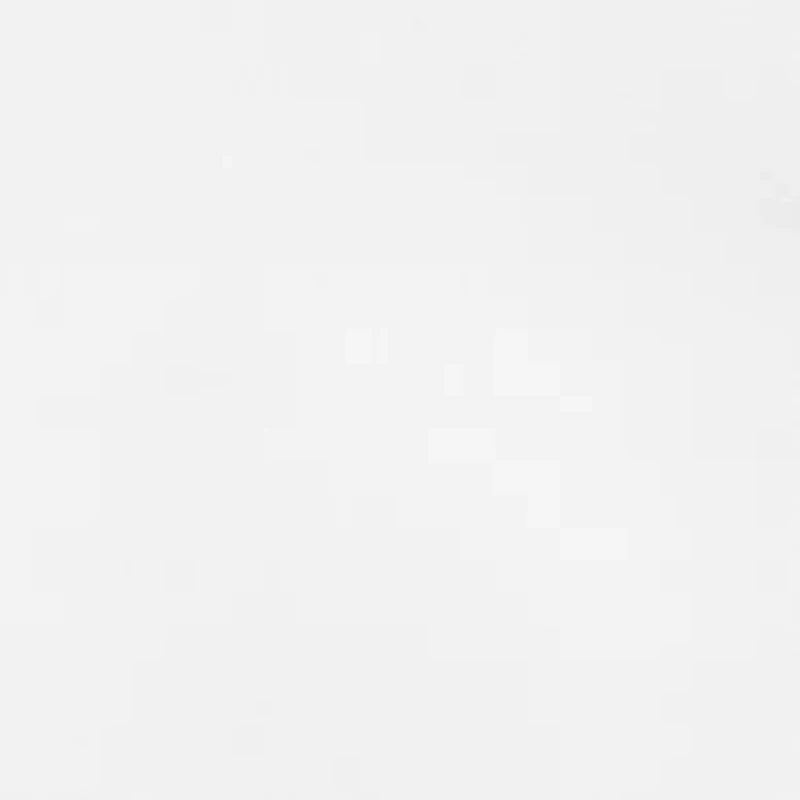 No Panty Line Promise® Lace Cami