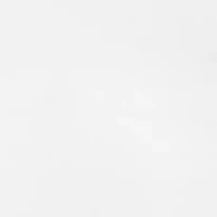 No Panty Line Promise® Lace Cami