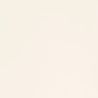 No Panty Line Promise® Lace Cami