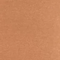 No Panty Line Promise® Lace Cami